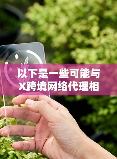 以下是一些可能与X跨境网络代理相关的内容 以下是一些可能与X跨境网络代理相关的内容