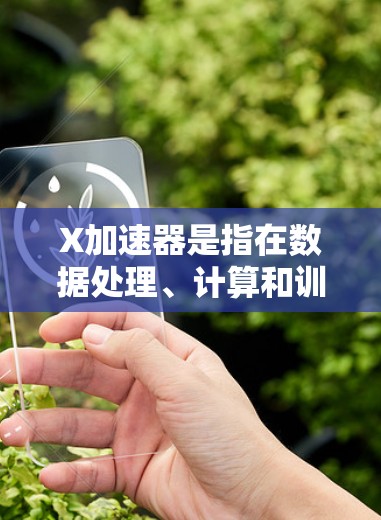 X加速器是指在数据处理、计算和训练任务中能够显著提升性能的硬件设备，常用于人工智能、图像处理、科学计算等领域。以下是一些常见的X加速器及其排行榜，供参考