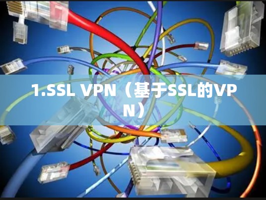 1.SSL VPN（基于SSL的VPN）