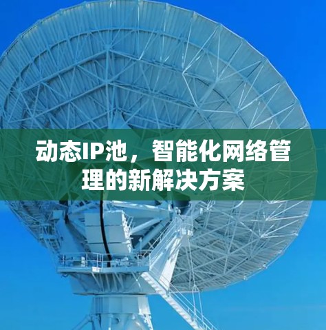 动态IP池，智能化网络管理的新解决方案