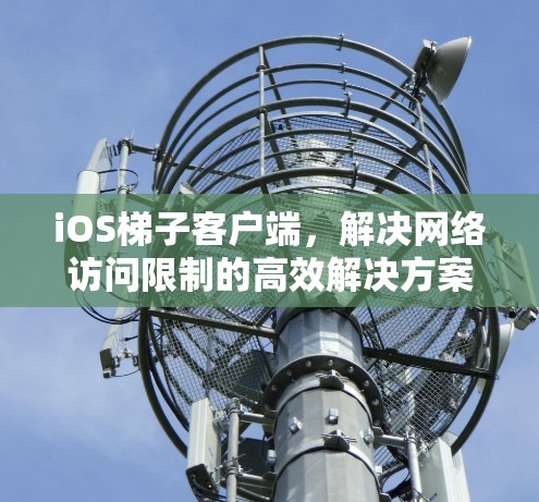 iOS梯子客户端,解决网络访问限制的高效解决方案 iOS梯子客户端,解决网络访问限制的高效解决方案