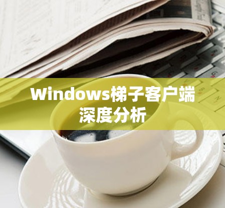 Windows梯子客户端深度分析 Windows梯子客户端深度分析