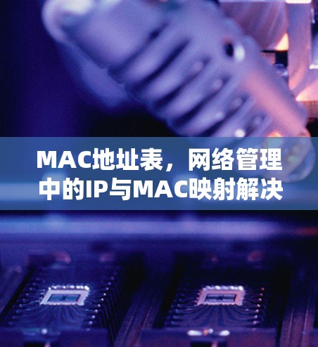 MAC地址表,网络管理中的IP与MAC映射解决方案 MAC地址表,网络管理中的IP与MAC映射解决方案