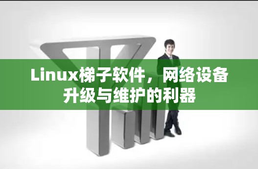 Linux梯子软件，网络设备升级与维护的利器