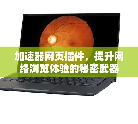 加速器网页插件，提升网络浏览体验的秘密武器
