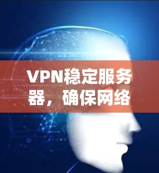 VPN稳定服务器，确保网络安全与高效通信