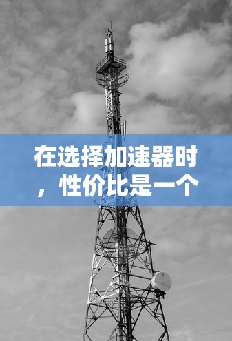 在选择加速器时，性价比是一个重要的考虑因素。以下是对不同加速器品牌和型号的综合分析和推荐，帮助您做出明智的购买决定