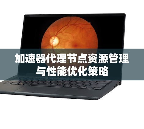 加速器代理节点资源管理与性能优化策略