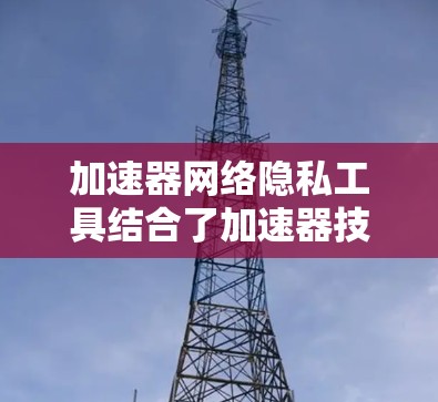 加速器网络隐私工具结合了加速器技术和网络隐私保护，旨在提高数据处理效率并确保隐私安全。以下是对该领域的详细分析和总结