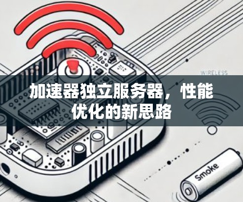 加速器独立服务器，性能优化的新思路