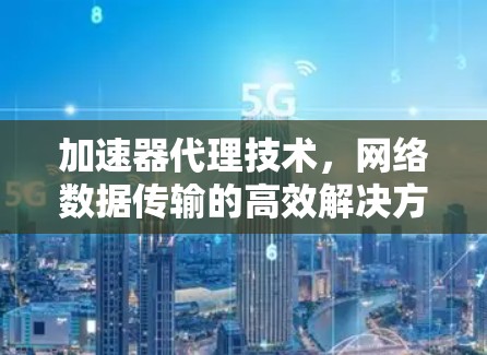加速器代理技术,网络数据传输的高效解决方案 加速器代理技术,网络数据传输的高效解决方案