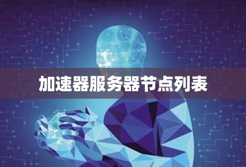 加速器服务器节点列表