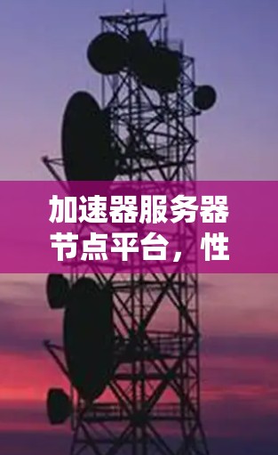 加速器服务器节点平台，性能优化与云计算应用
