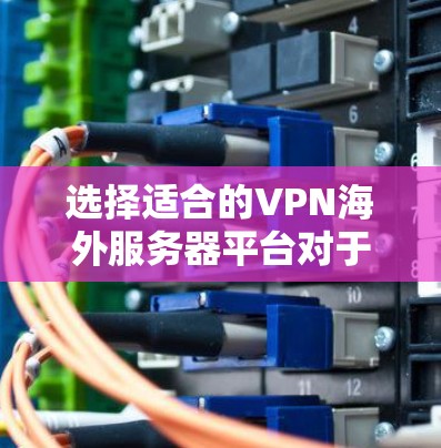 选择适合的VPN海外服务器平台对于保护隐私和访问受限内容至关重要。以下是对各平台的分析和总结，帮助你做出明智的选择