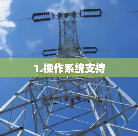 1.操作系统支持