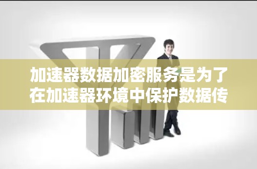 加速器数据加密服务是为了在加速器环境中保护数据传输的安全和隐私而设计的解决方案。以下是对这一服务的详细分析和总结
