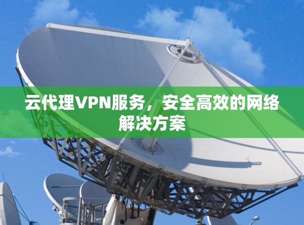 云代理VPN服务，安全高效的网络解决方案