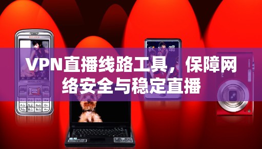 VPN直播线路工具，保障网络安全与稳定直播
