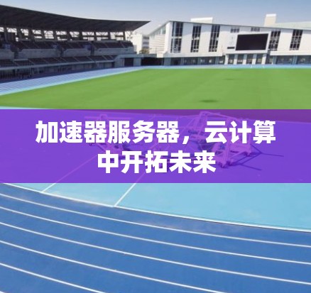 加速器服务器，云计算中开拓未来