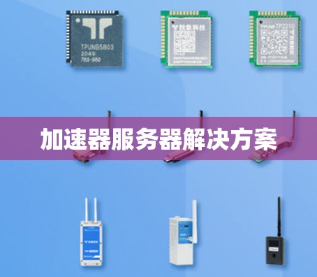 加速器服务器解决方案