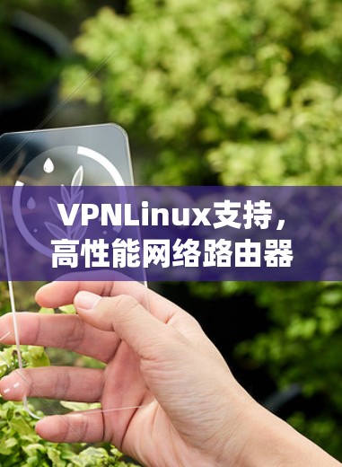 VPNLinux支持，高性能网络路由器系统的核心优势分析
