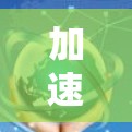 加速器网络加速技术排名，2023年市场分析