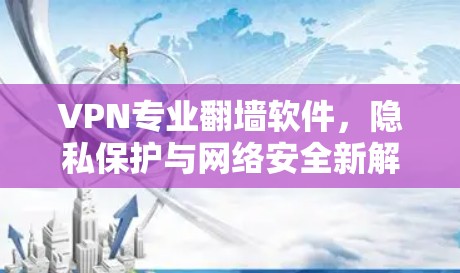 VPN专业翻墙软件，隐私保护与网络安全新解决方案