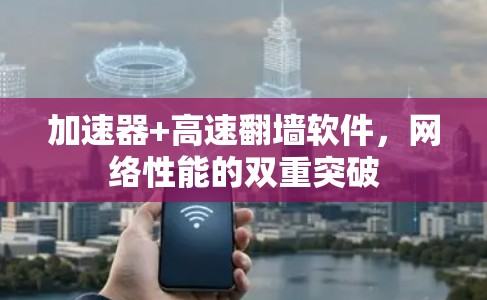 加速器+高速翻墙软件，网络性能的双重突破