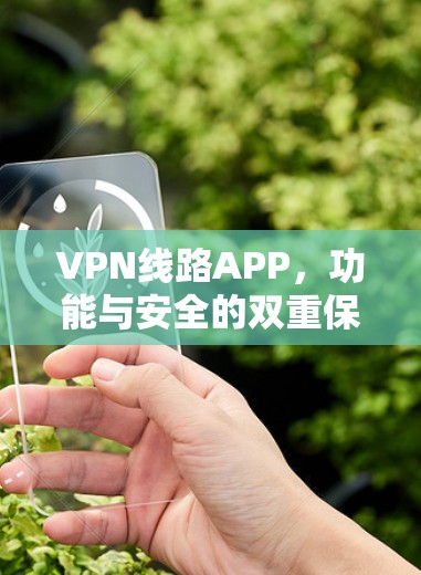 VPN线路APP，功能与安全的双重保障