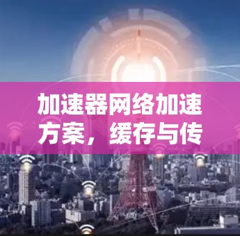 加速器网络加速方案，缓存与传输优化