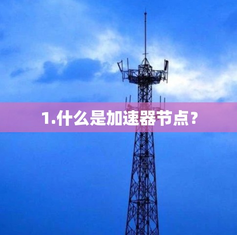 1.什么是加速器节点? 1.什么是加速器节点?