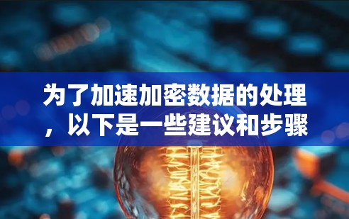 为了加速加密数据的处理，以下是一些建议和步骤，帮助您选择和配置适合的加速器