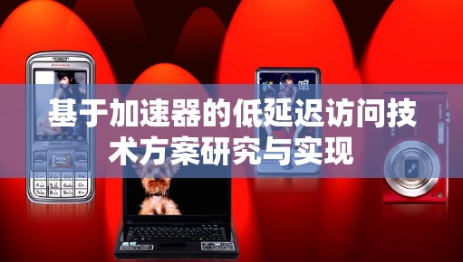 基于加速器的低延迟访问技术方案研究与实现