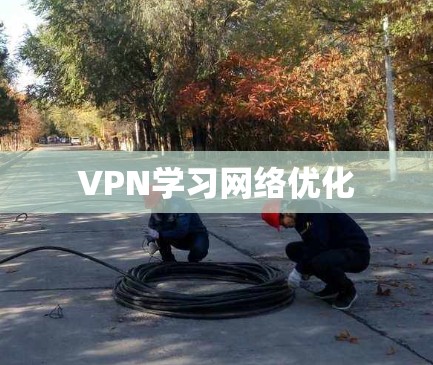 VPN学习网络优化