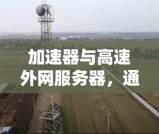 加速器与高速外网服务器，通信工程中的高效解决方案