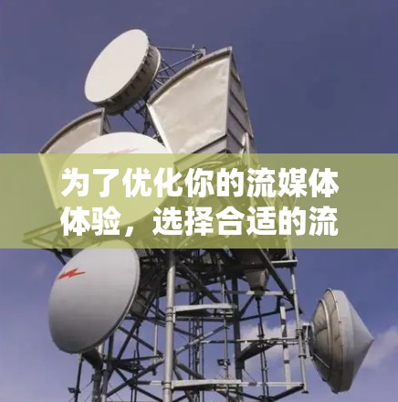 为了优化你的流媒体体验，选择合适的流媒体加速器工具至关重要。以下是对可能的工具的详细分析和建议